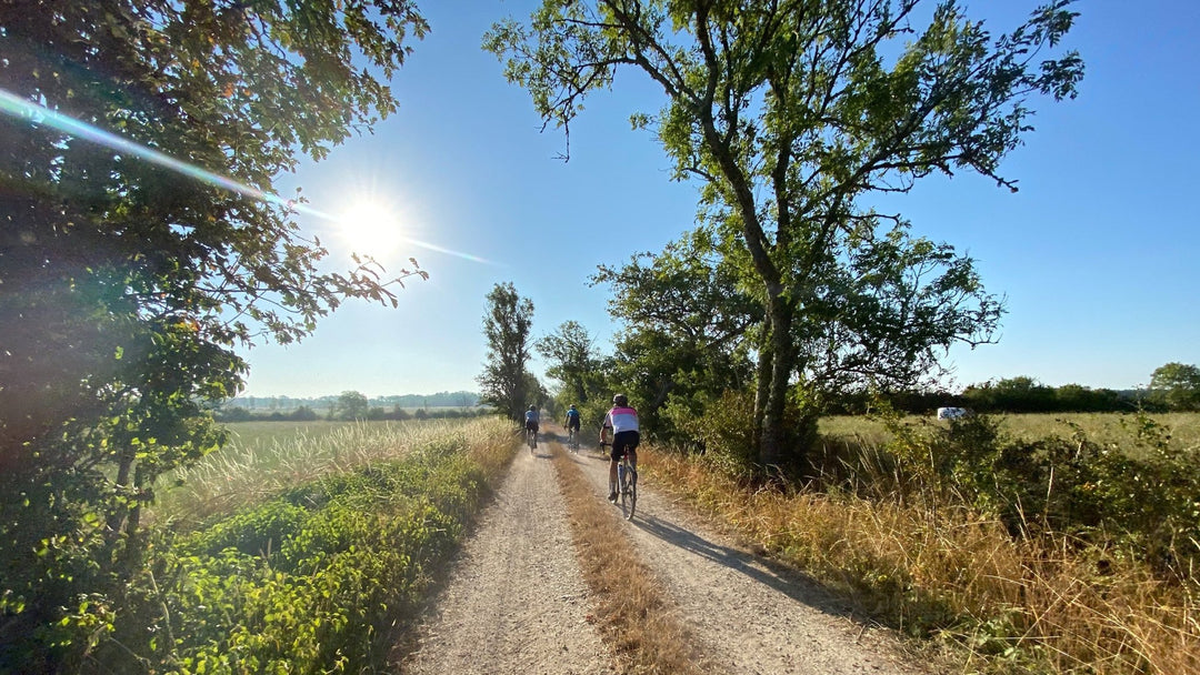 Gotlandsleden - A 500km bike ride on a Swedish Viking-era island - Sigr